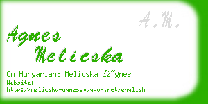 agnes melicska business card